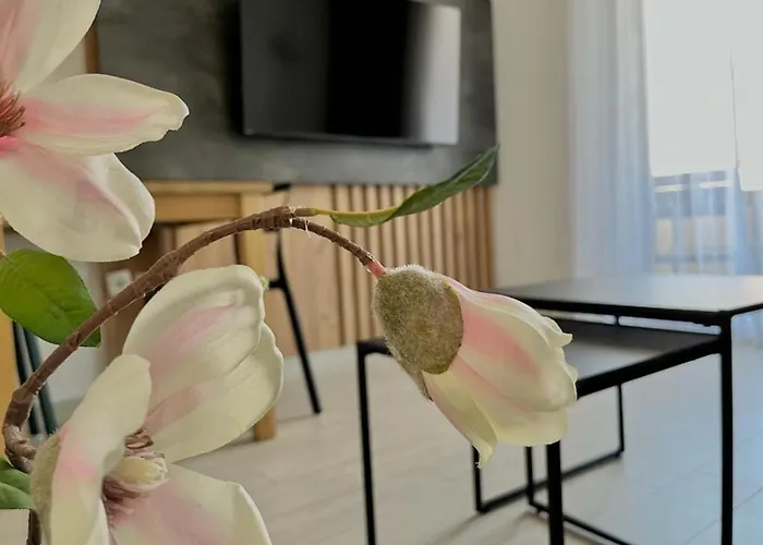 Ellena Guest house 3*